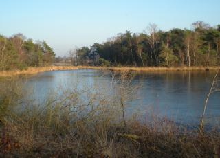 Turnhouts vennengebied (3)