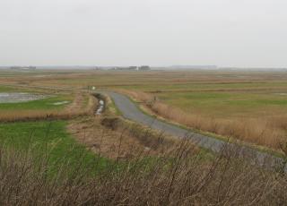Uikerkse Polder (1) © Jeroen Bot