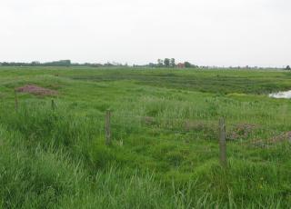Uitkerkse Polder (2) © Jeroen Bot