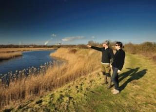 Linkeroever;rietveld;Waaslandhaven 