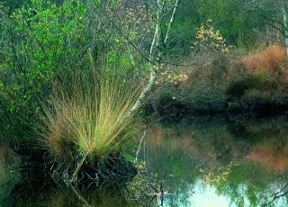 vloethemveld  © Patrick Keirsebilck