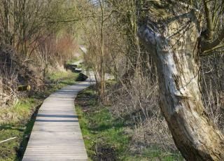 Wolfsputten (1) © Paul Van Caesbroeck