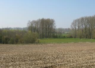 Zwalm