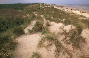 Paelsteenpanne te Bredene